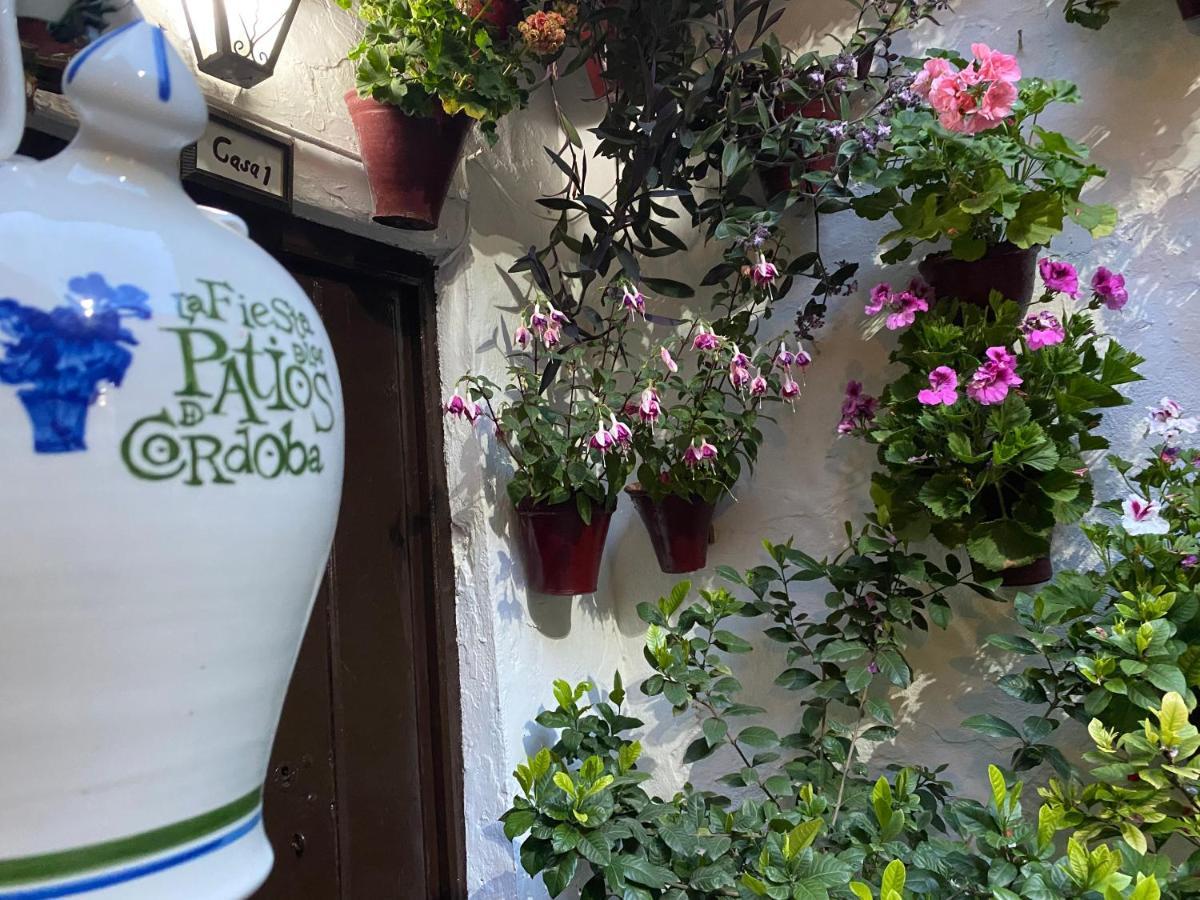 Apartamento Atico Casa Lola Córdoba Exterior foto