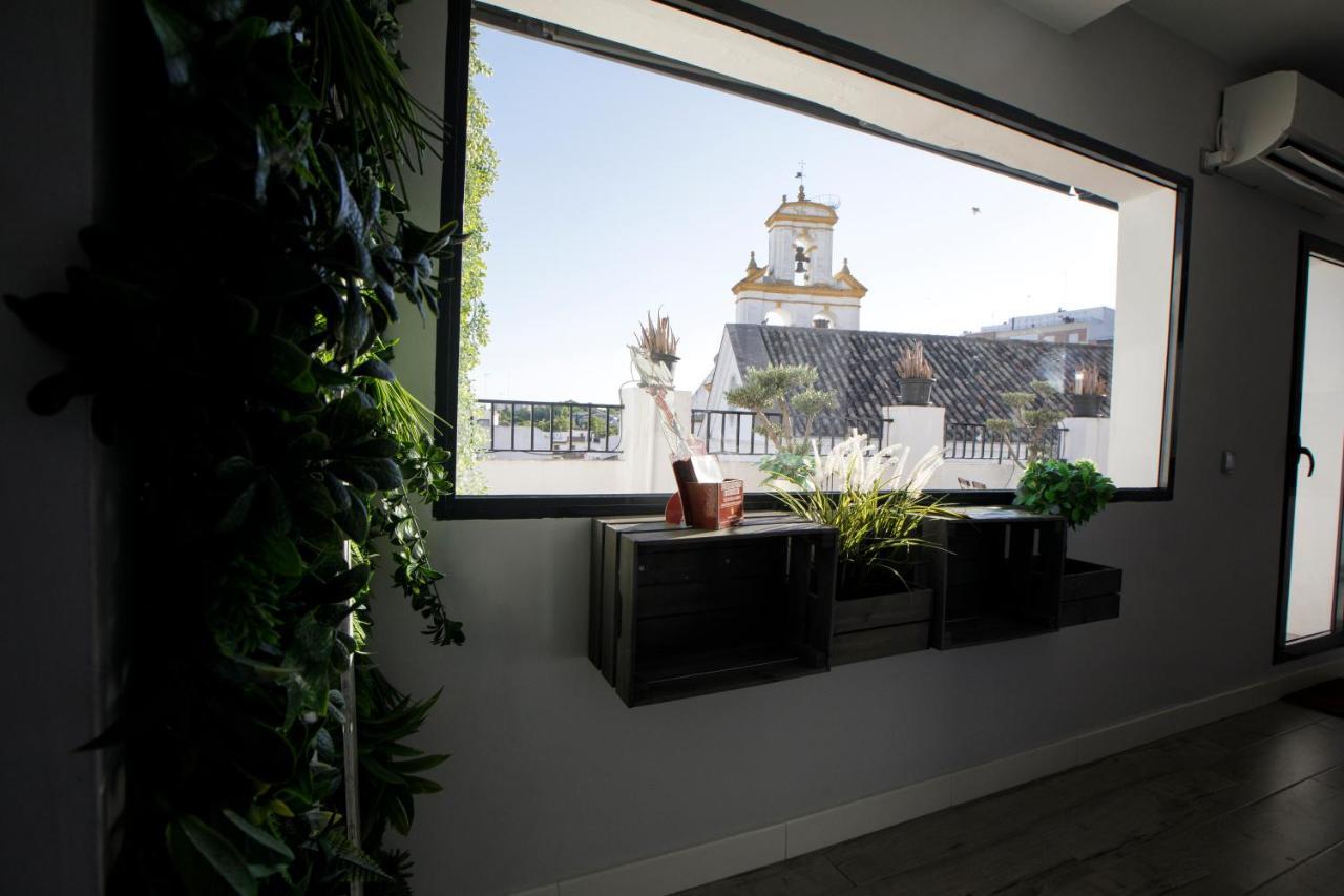Apartamento Atico Casa Lola Córdoba Exterior foto